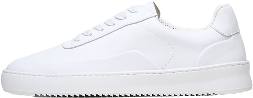 Filling Pieces Mondo Seamless